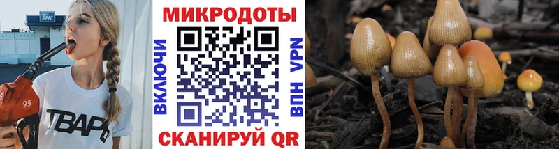 Галлюциногенные грибы Psilocybe  где продают наркотики  МЕГА зеркало  Сосновка 